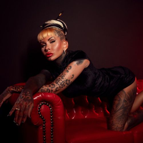 Galeriebild 12 von Mallory van Knox