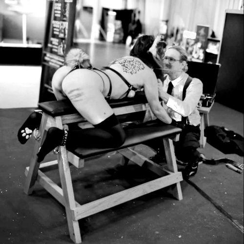 Galeriebild 2 von Kleiner Fuchs