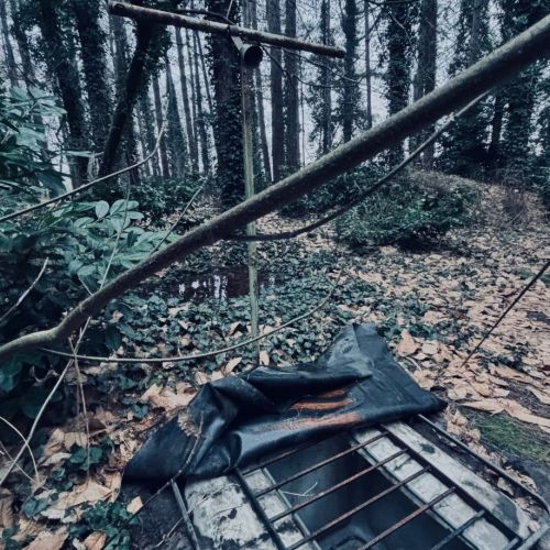 Galeriebild 8 von Mistress Henriette