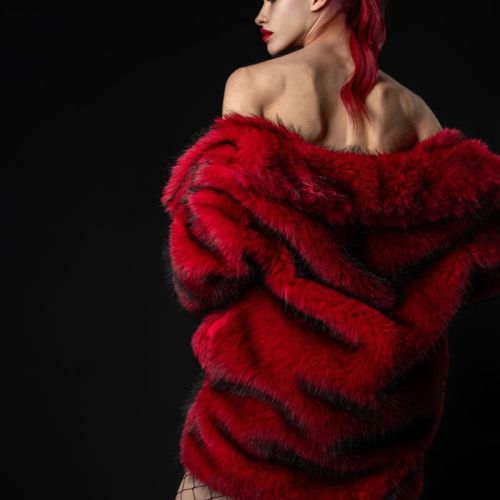 Galeriebild 3 von Princess Harley Blood