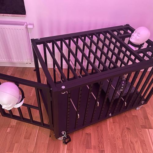 Galeriebild 12 von Miss Lana Poison