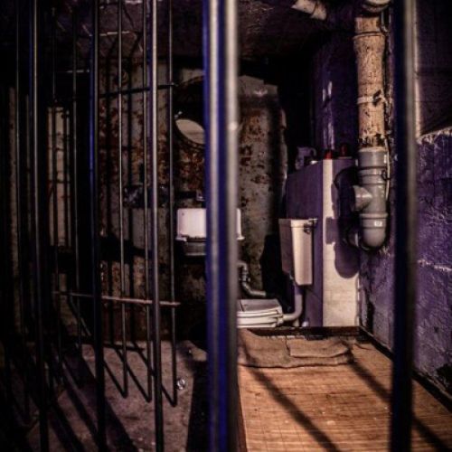 Galeriebild 4 von Novem Viginti