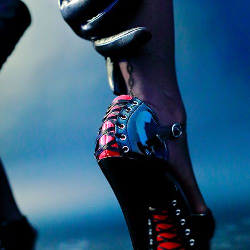 Galeriebild 23 von Lady Cora Champaign