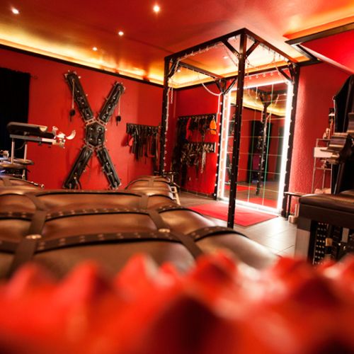 Galeriebild 18 von House Of Bizarre Dreams